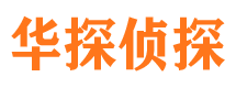 桃源市调查公司